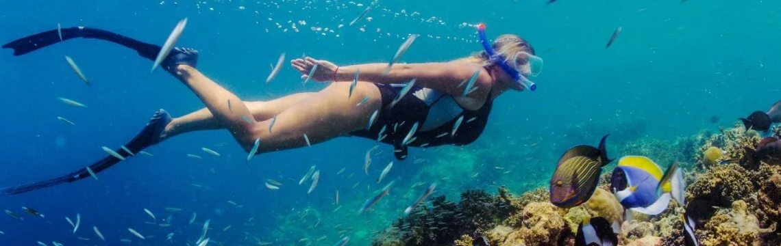 Schwimmen mit der Strömung: Ein tiefer Tauchgang zu den Schnorchelplätzen Teneriffas